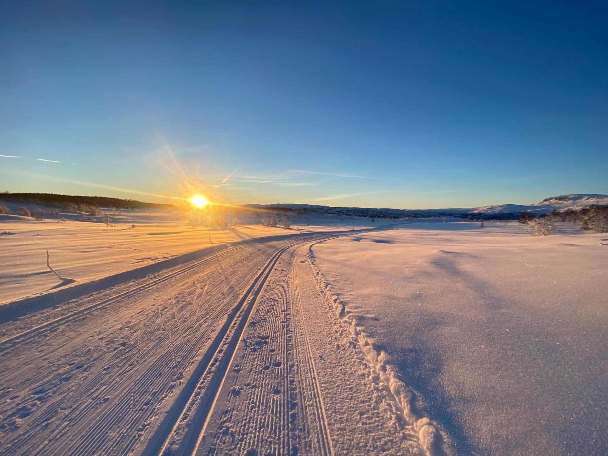 Delikat Hytte Omgitt Av Hallingdals Vakre Fjell Al Zewnętrze zdjęcie